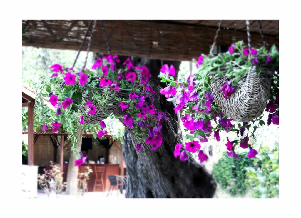 Aparthotel Aneton Chrysi Ammoudia Exterior foto
